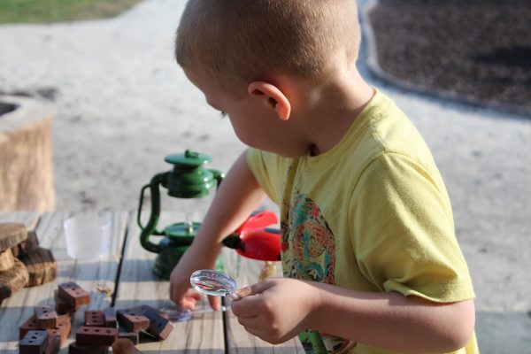 early-stem-education