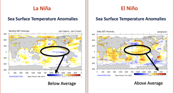 Graph showing temperatures from ENSO - El Nino and La Nina