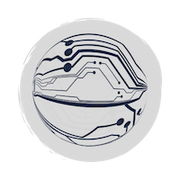 Blue global data icon