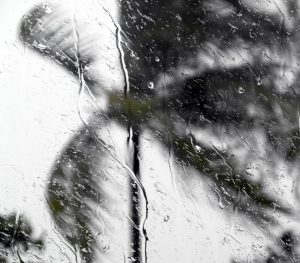 hurricane-matthew