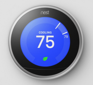 nest