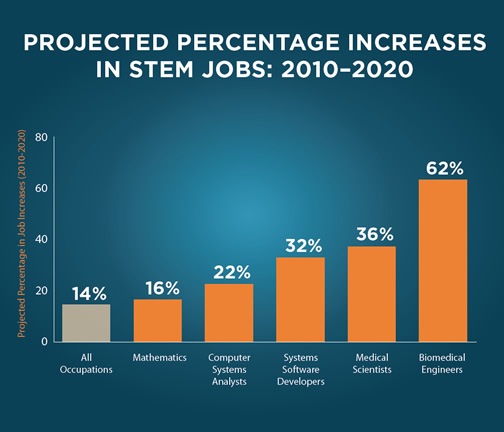 stem-infographic