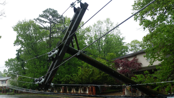 Downed powerline 