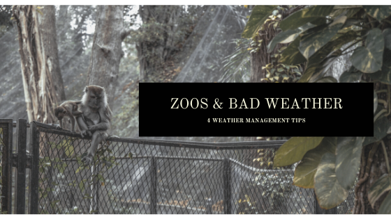 zoos and bad weather