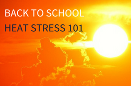 Back to School Heat Stress 101