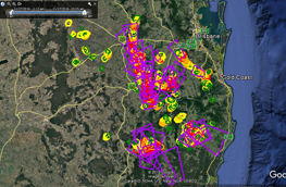 Dangerous Weather in Australia – Queensland