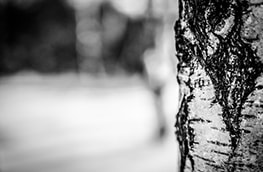 Earth Networks Unveils U.S. Winter Weather Outlook