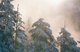 Get Winter Storm Ready