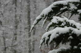 How to Prepare your Business for a Crazy Winter Nor’easter
