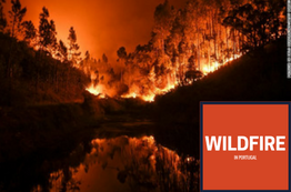 How Did the Deadly Portugal Wildfire Start?
