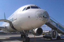 Weathering the Flight