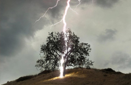 Why Does India Lose 2,000 People to Lightning Every Year?