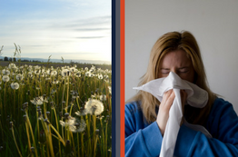 Weathering the Allergy Storm with Data: Big Data Brings Relief to Medicine Supply Chains