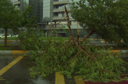 Severe Storms Drench UAE