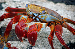 The 10 Worst Beach Hazards You Need to Look Out For