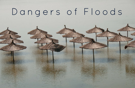 Dangers of Floods: Considerations for Environmental Health Professionals