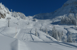 Ski Season Forecast