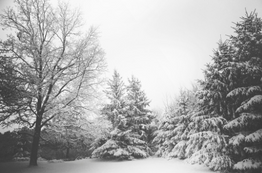 When The First Snow Of The Season Typically Falls & How To Prepare