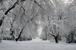 Why Flu Season Strikes In Winter