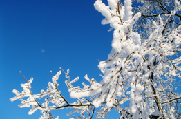 7 FAQs About the First Day of Winter